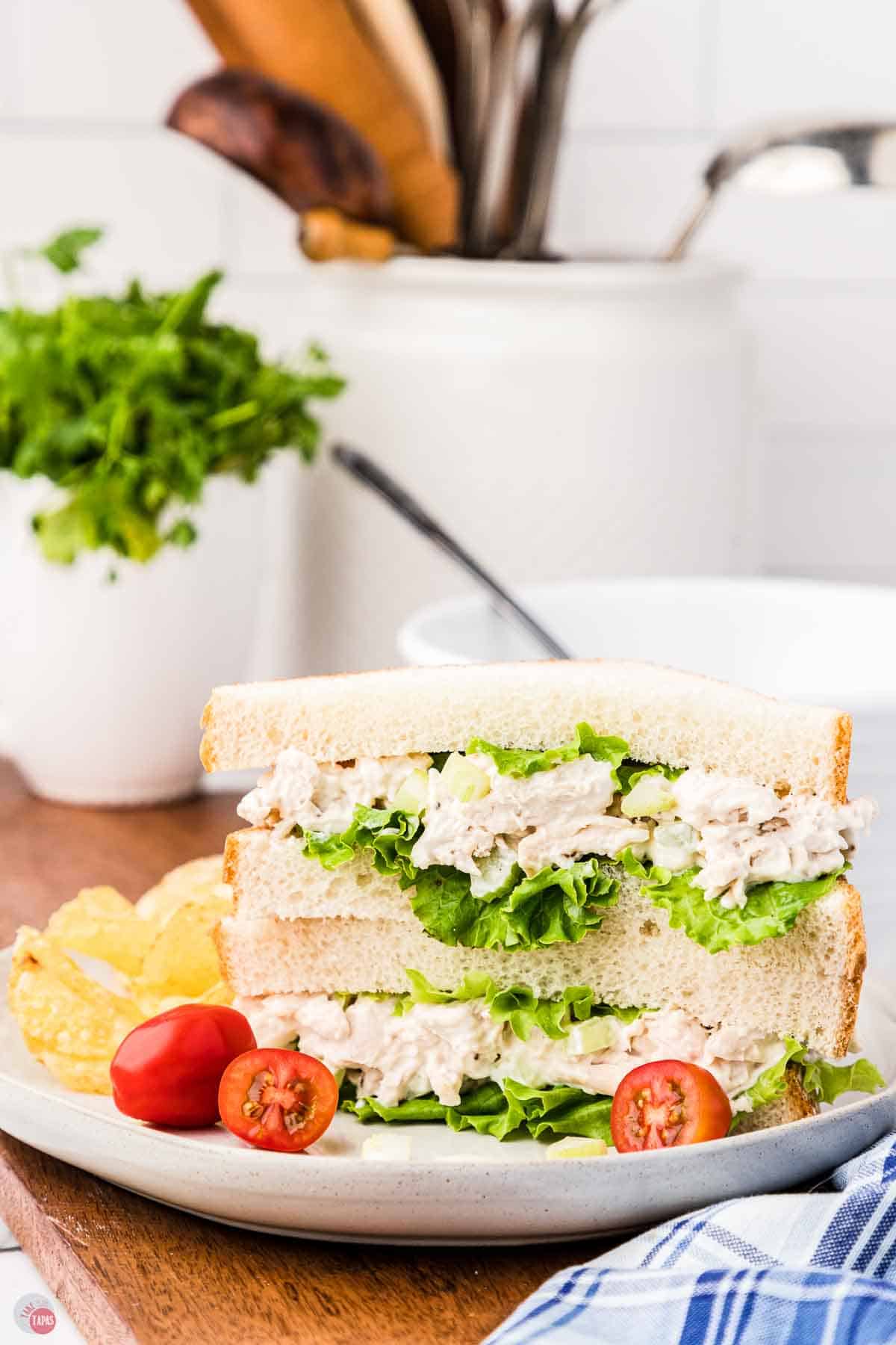 chicken salad sandwich on a plate with chips