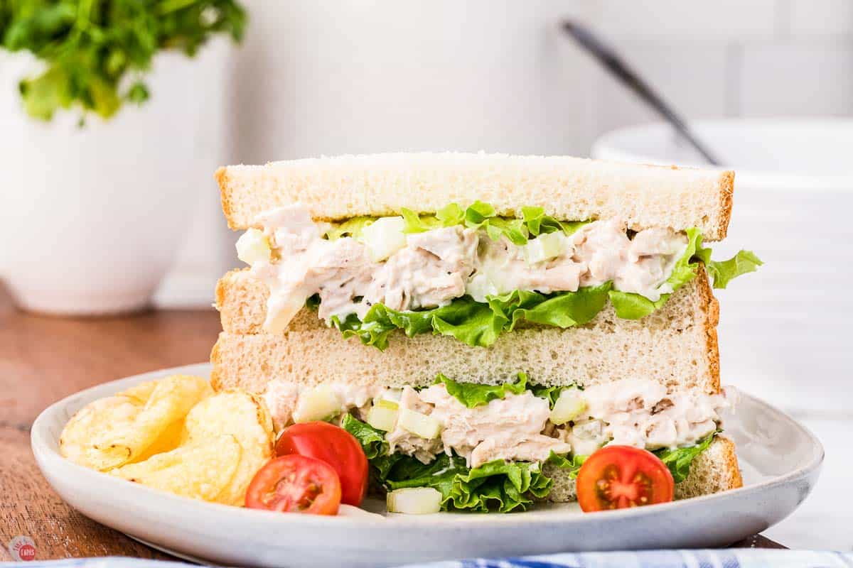 chicken salad sandwich