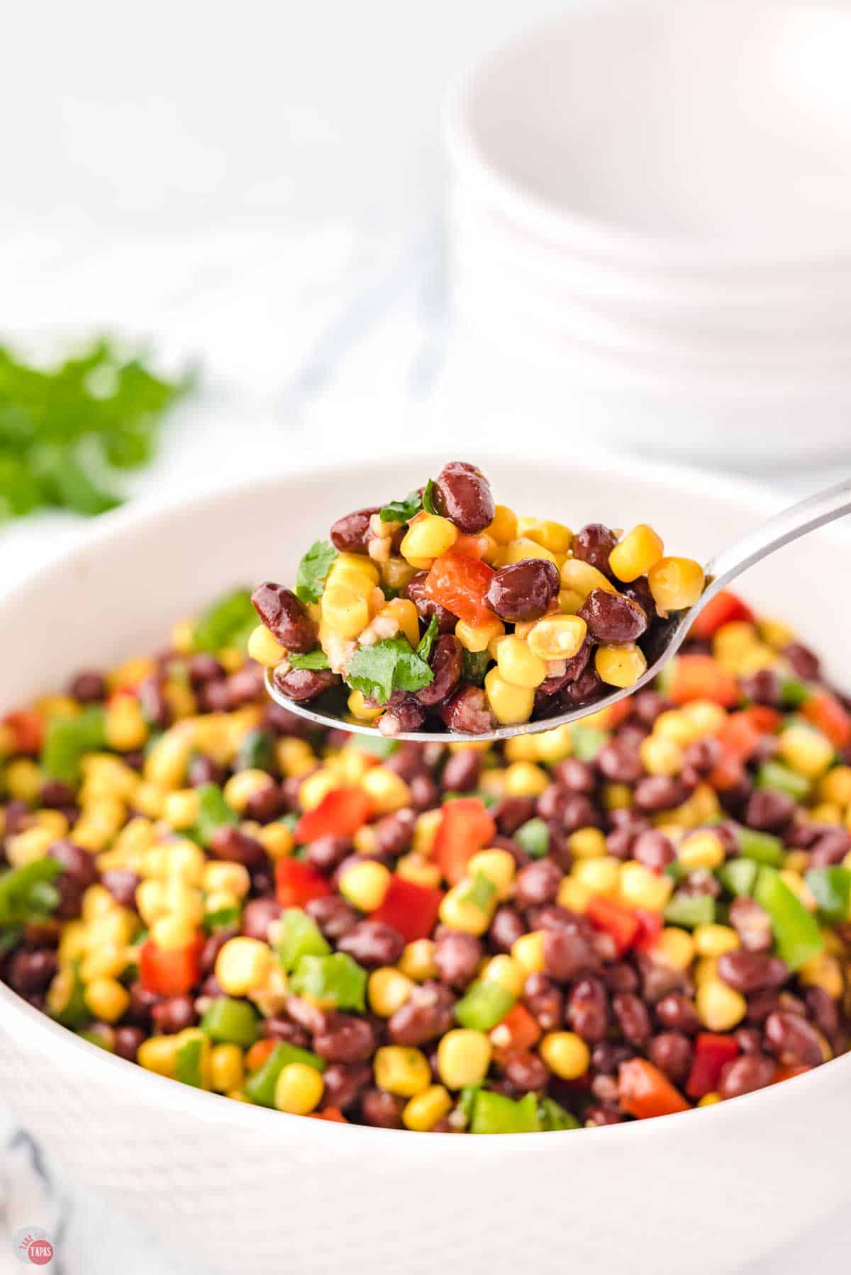spoon with scoop of fresh vegetable salad