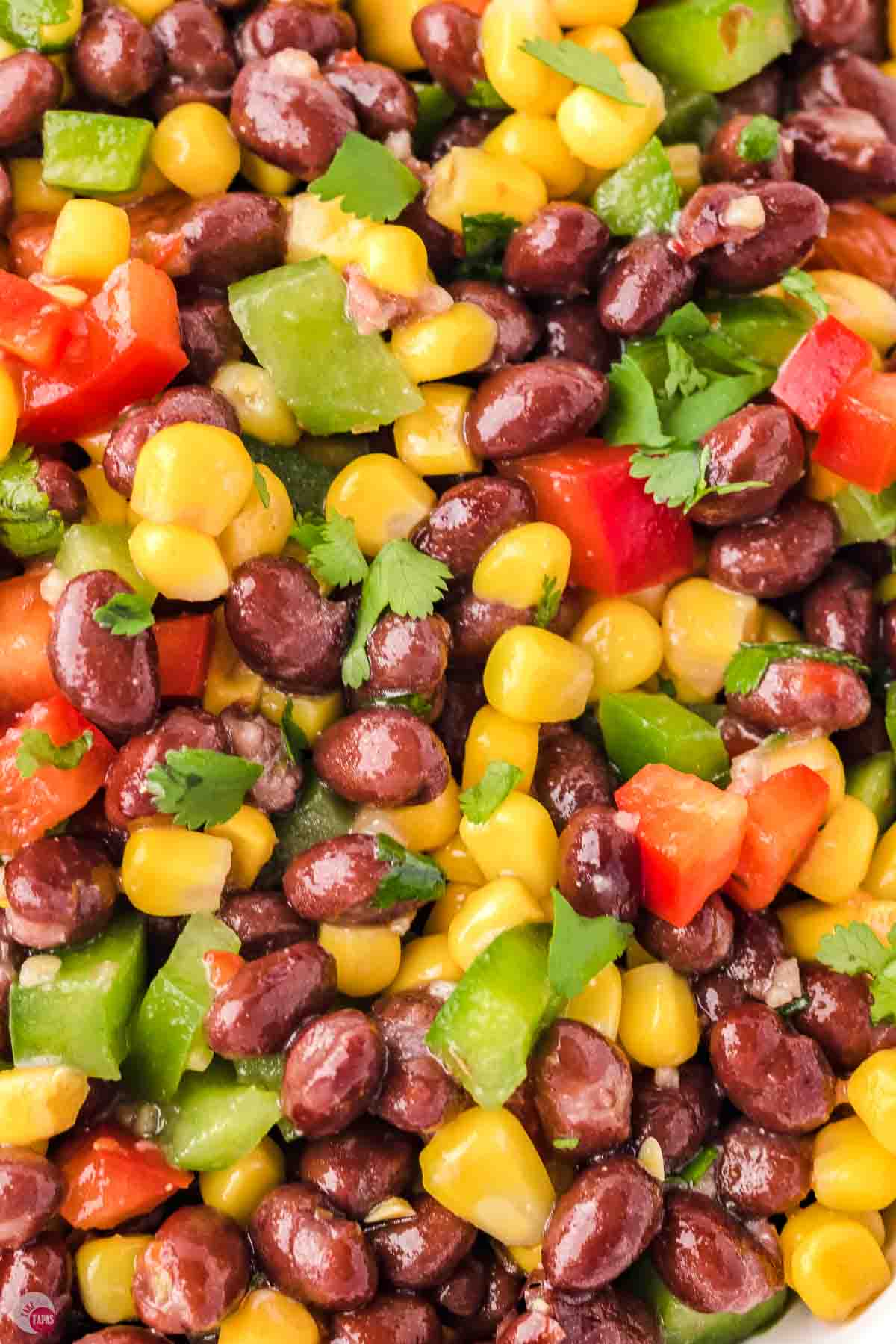 close up of vegetable salad topped with cilantro