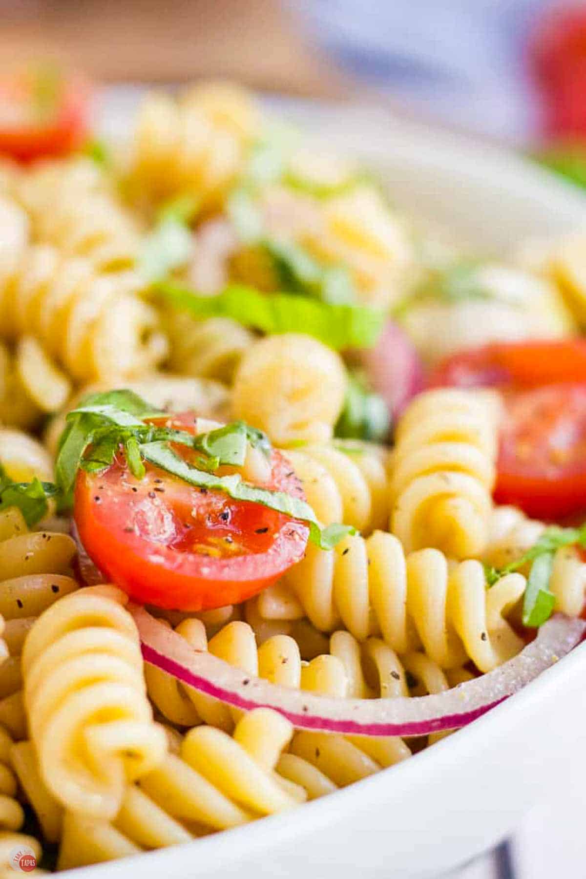 close up of pasta noodle with fresh basil and tomatoes