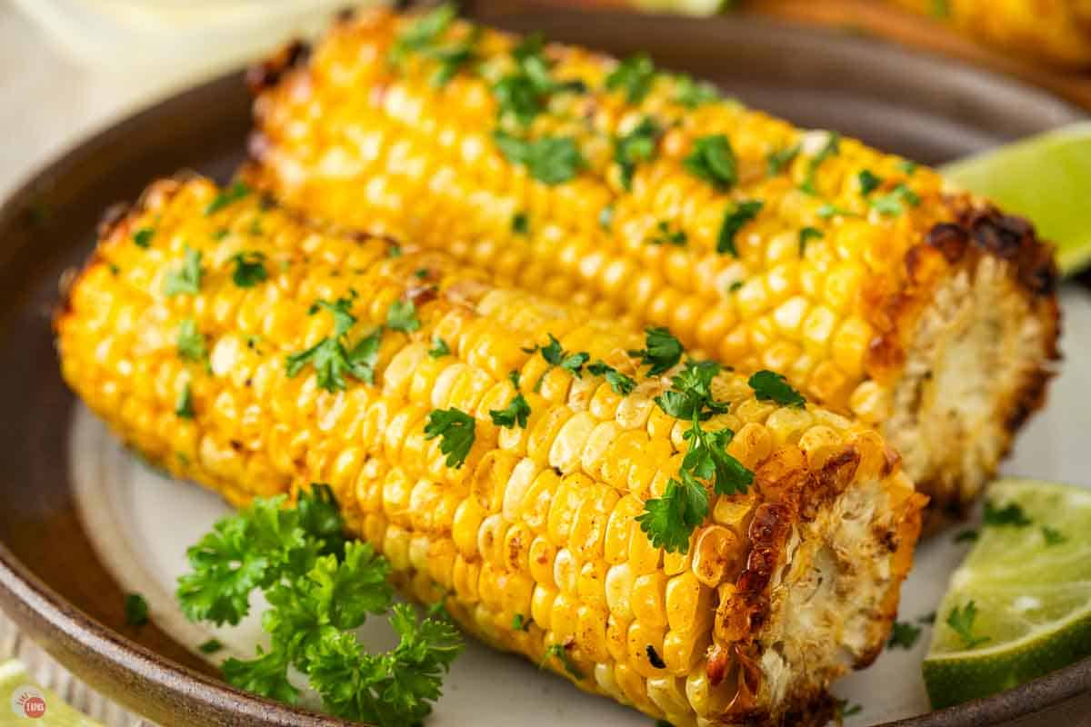 close up of corn cob edges