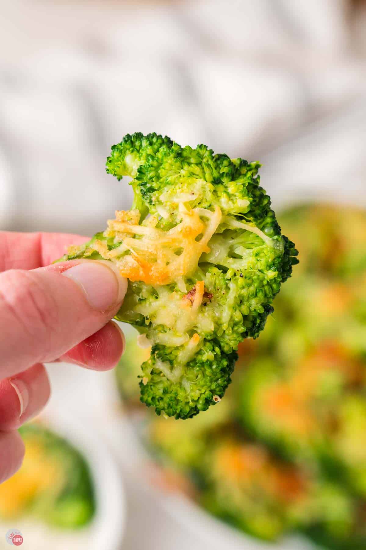 hand holding piece of broccoli with cheese on it