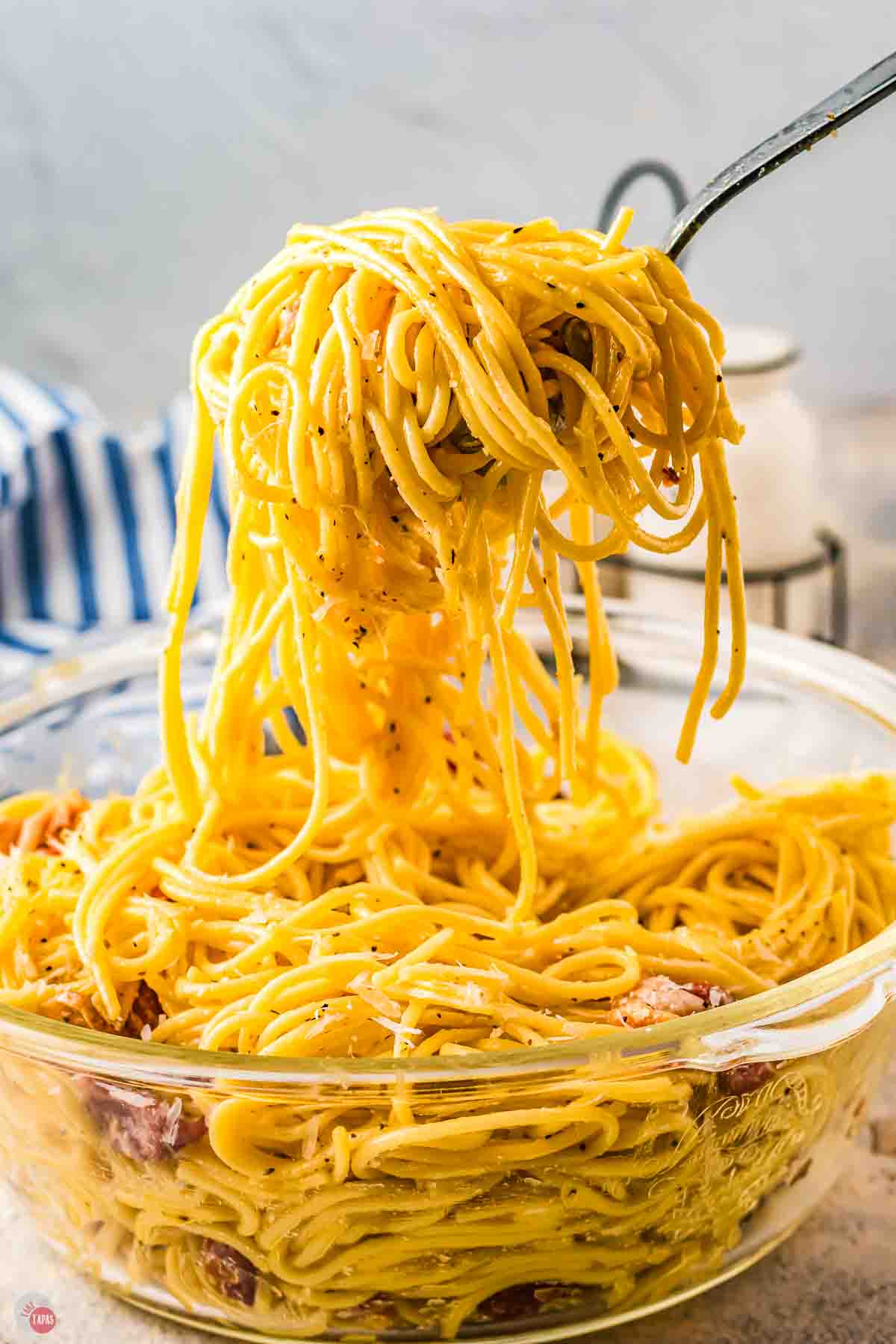 close up of large fork with pasta noodles