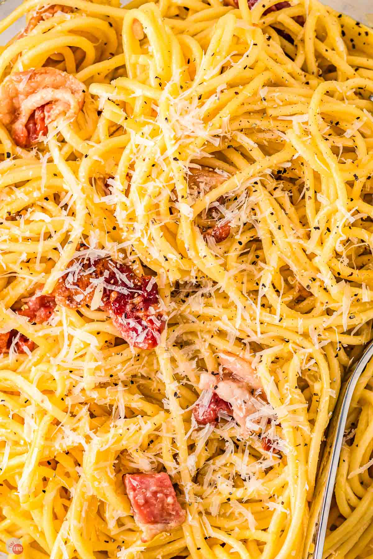 close up of pasta with cheese and bacon
