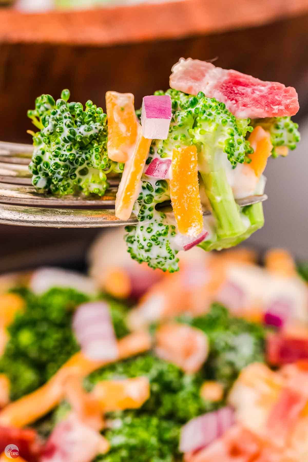 closeup of fork with broccoli and cheese on it