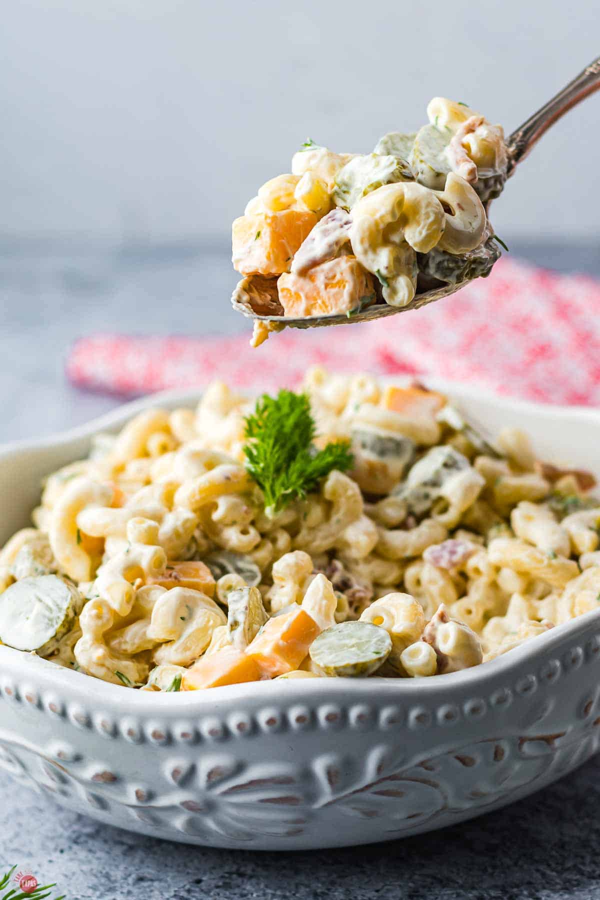 spoon with scoop of creamy macaroni on it