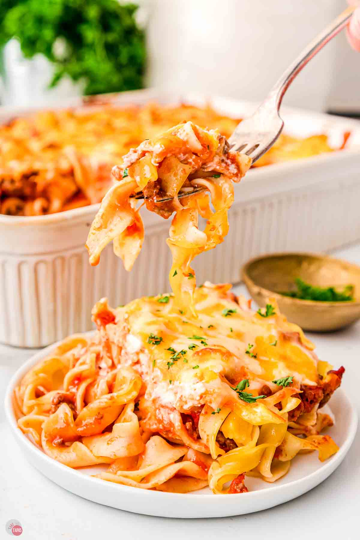 fork with a bite of noodles and cheese