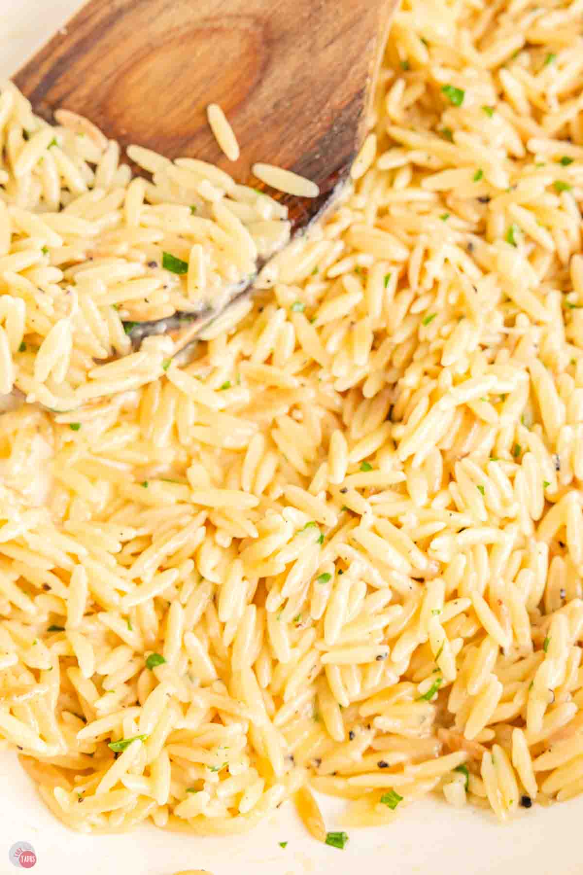 close up of cheesy noodles