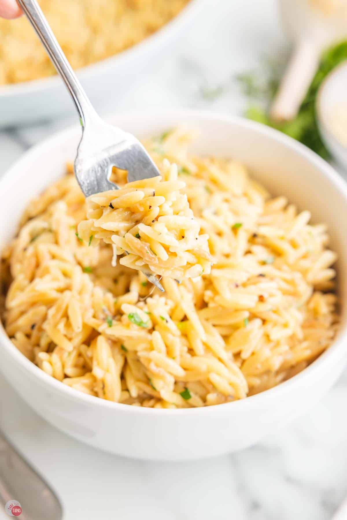 close up of fork with pasta on it