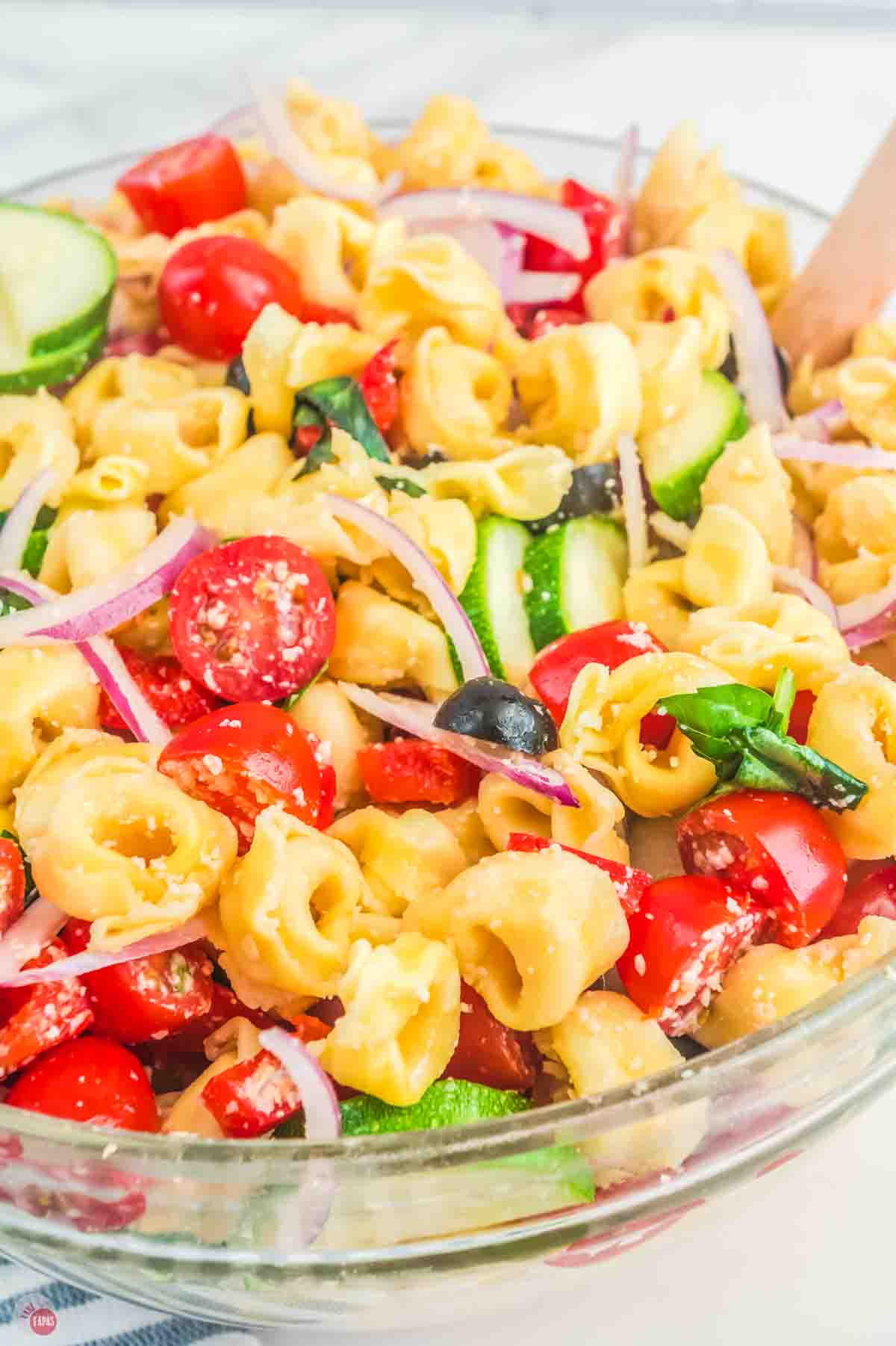close up of tortellini pasta with vegetables