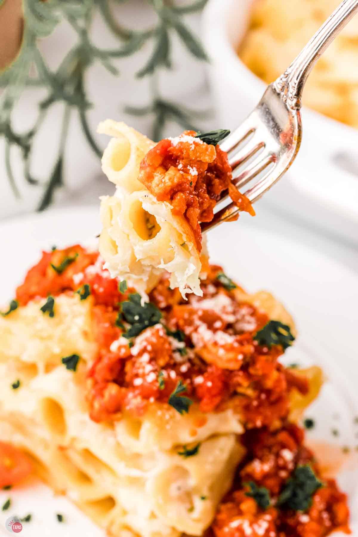 plate of pasta with a fork holding a bite