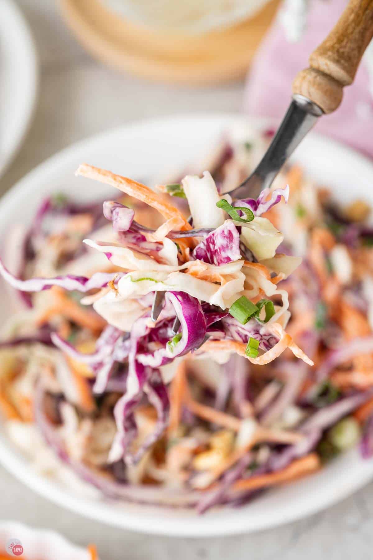 fork with a bite of cabbage coleslaw
