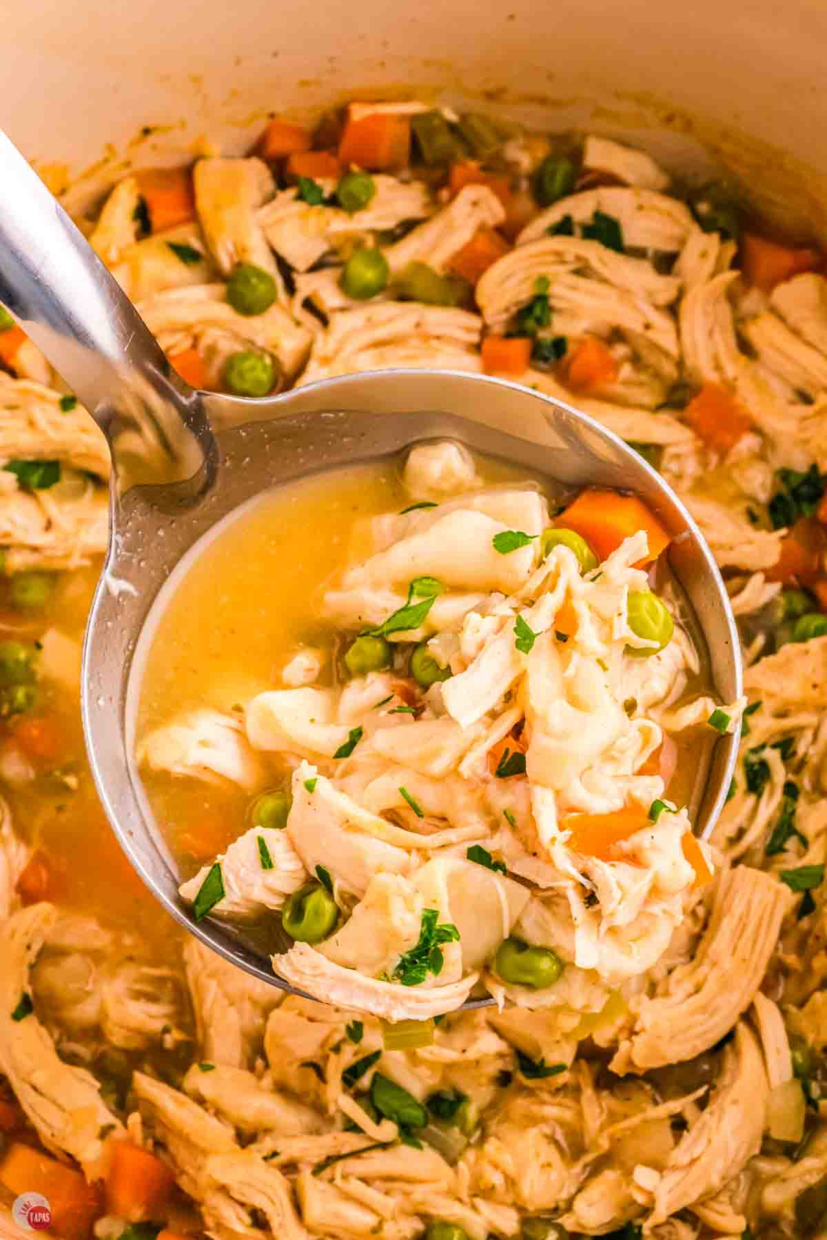 metal ladle with chicken soup in it
