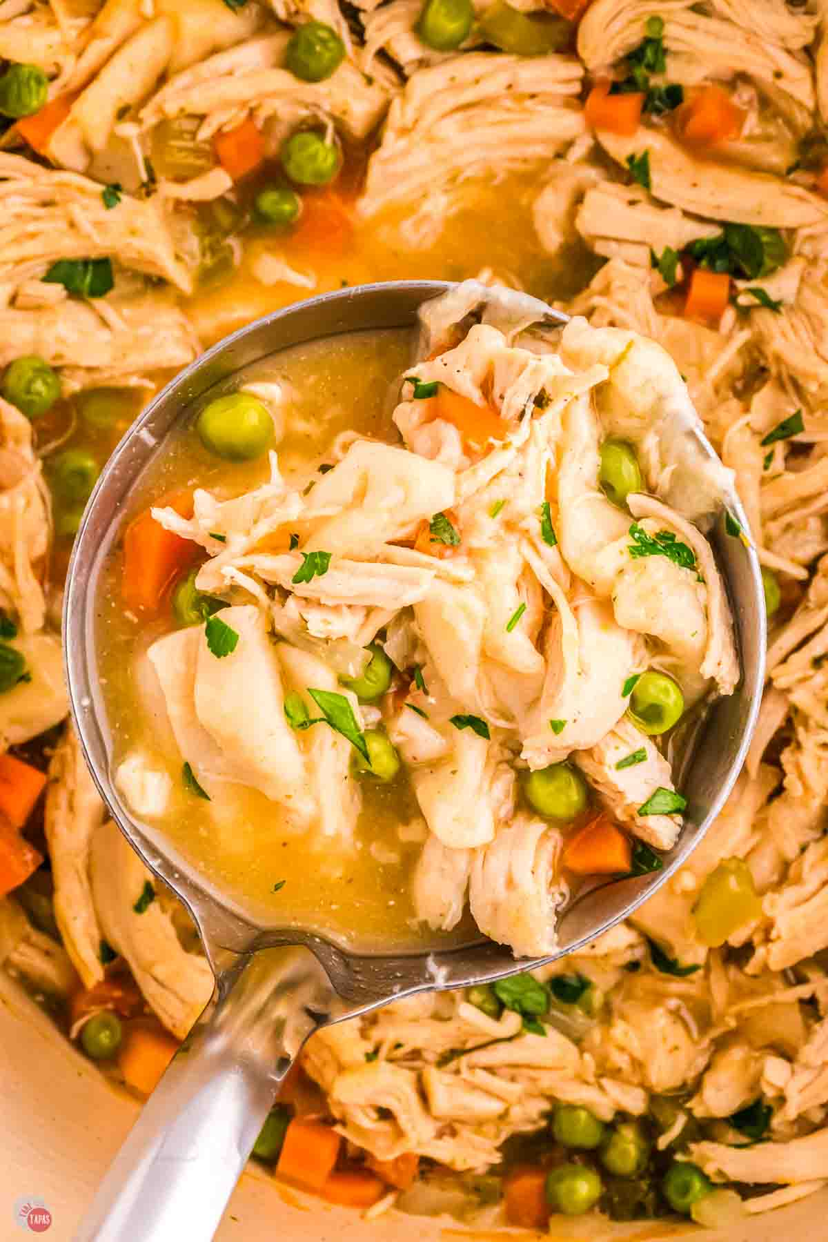 close up of ladle of chicken and dumplings