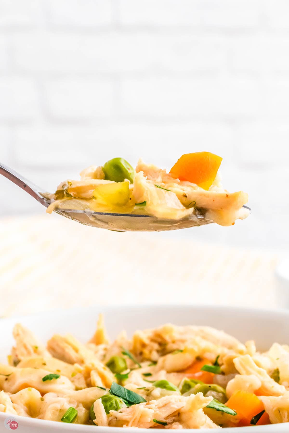 spoon of chicken and dumplings soup