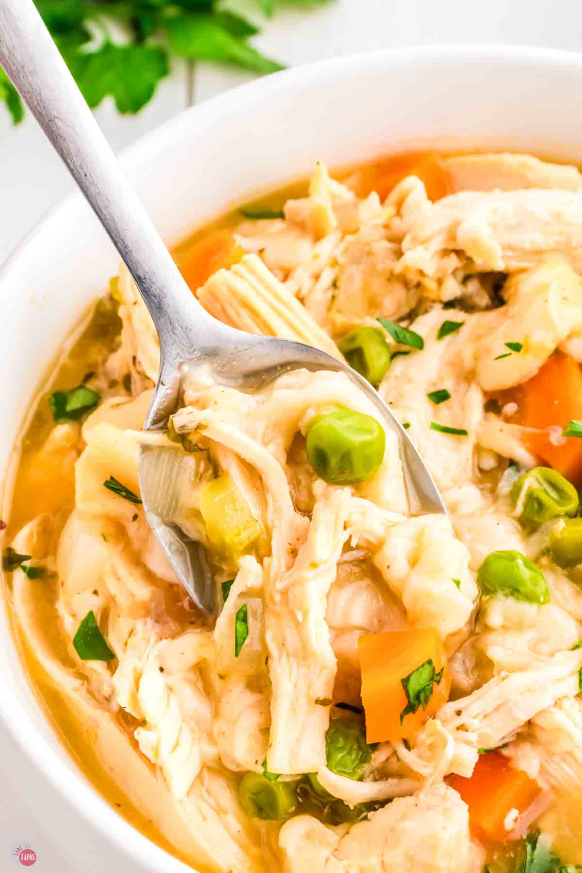 close up of bowl of soup with a spoon in it