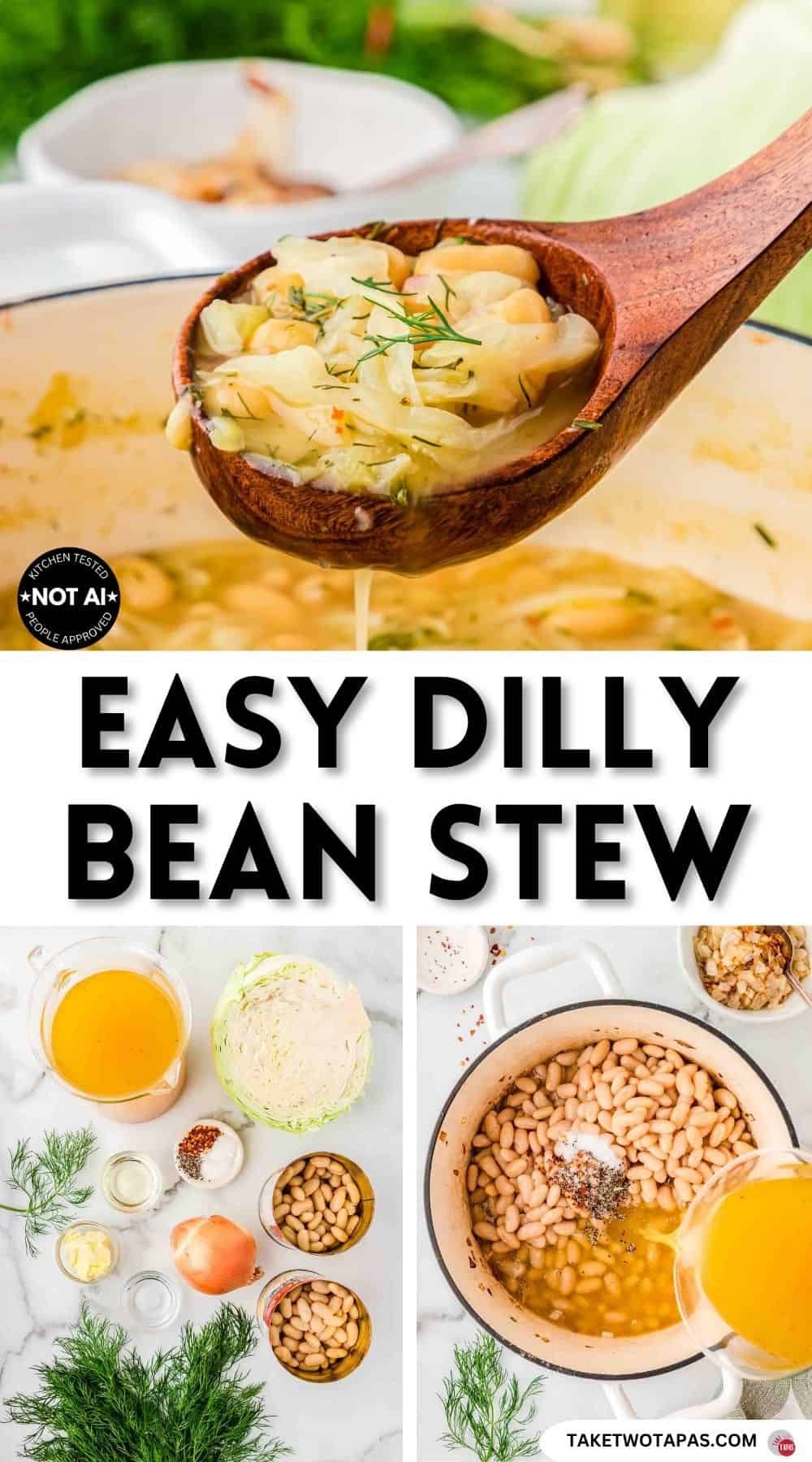 Pinterest pin image for a dilly bean stew recipe