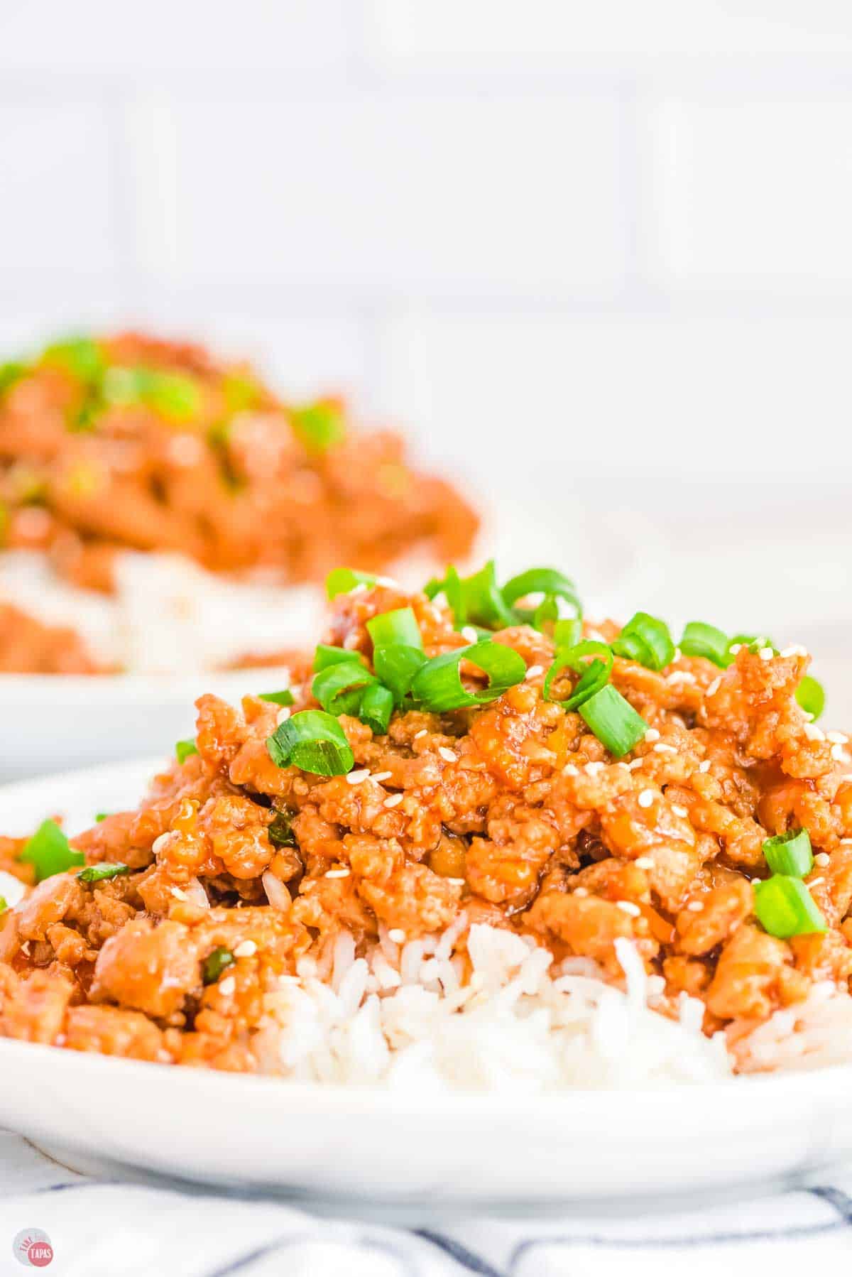 close up of chicken dish over rice