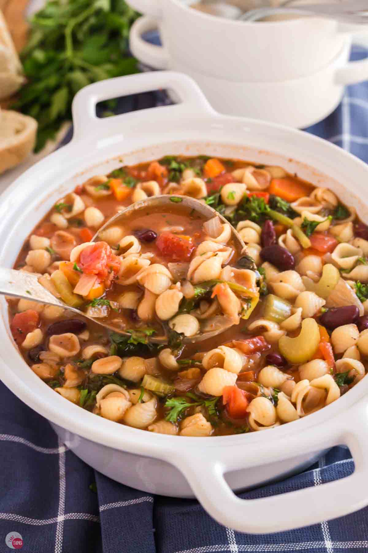 close up of large bowl of soup with a ladle