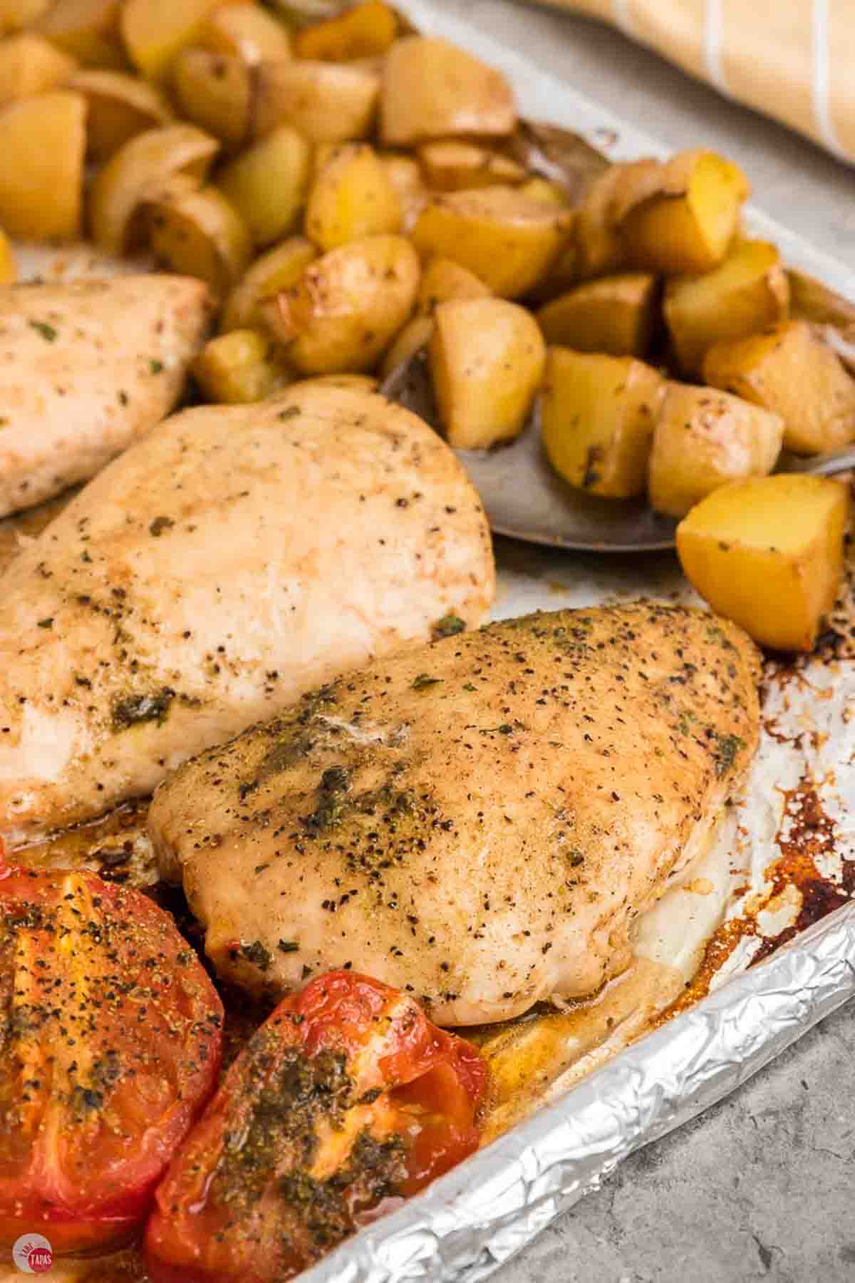 close up of chicken breasts, cooking on a baking sheet