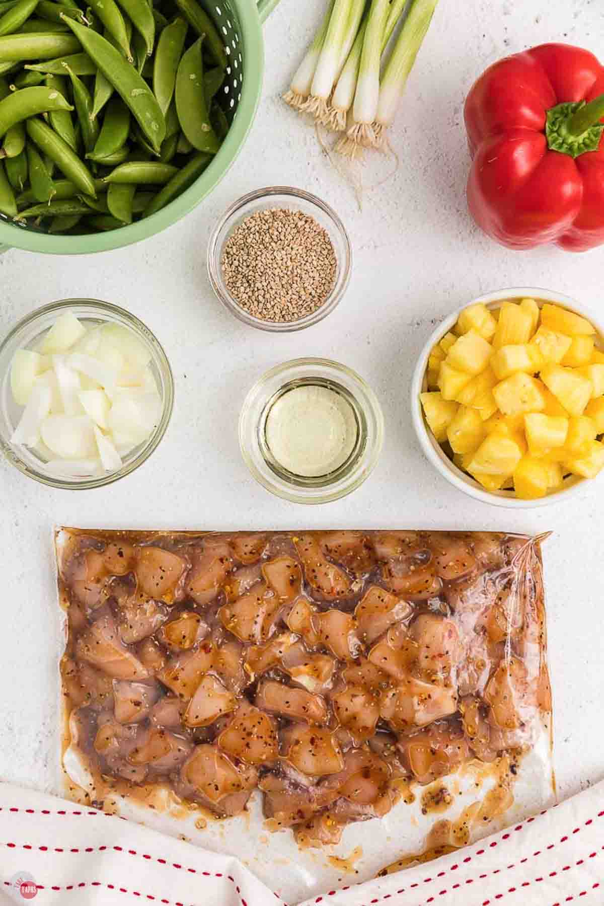 chicken pieces in a large plastic bag with marinade coating them