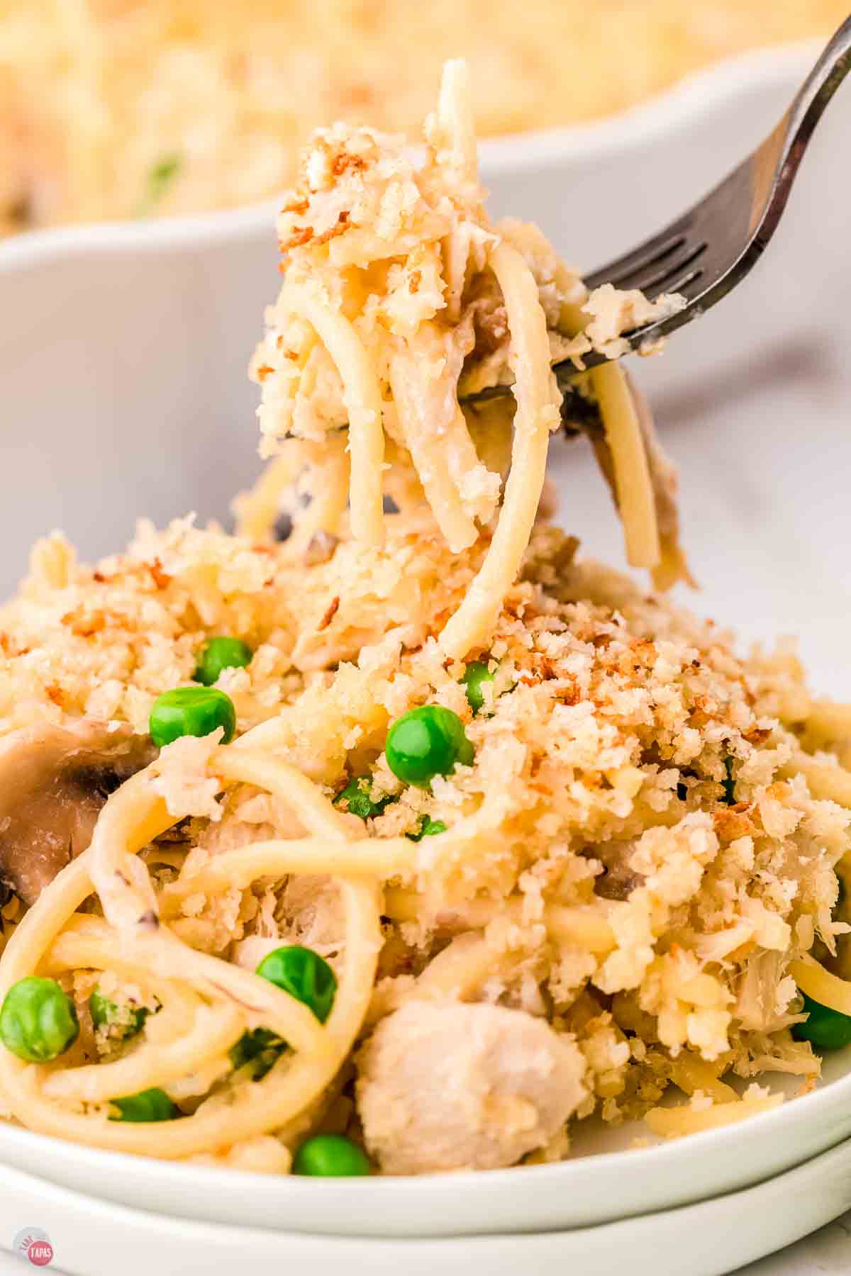 fork holding pasta and tuna over a fork
