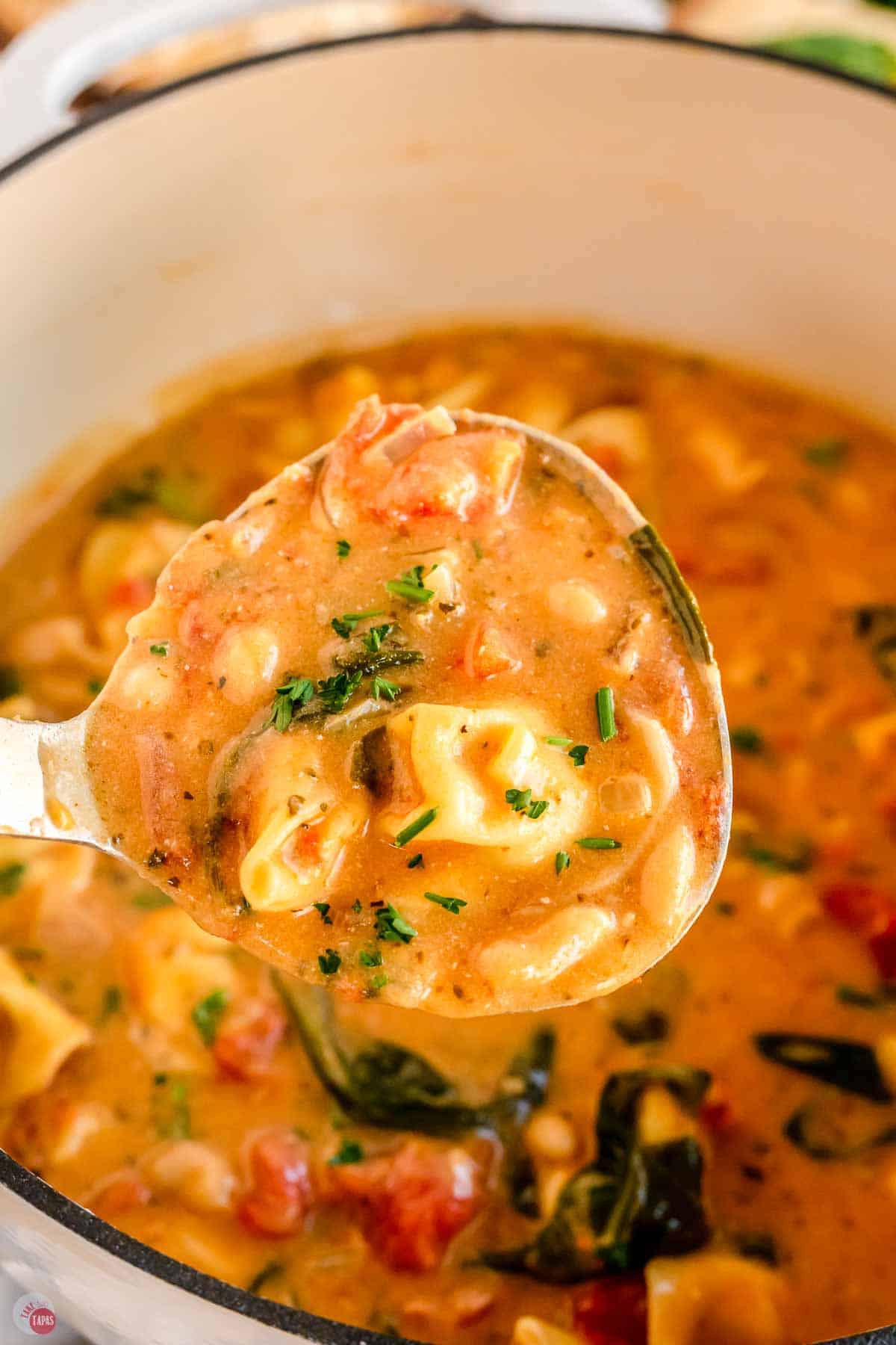 close up of ladle of tuscan tortellini soup