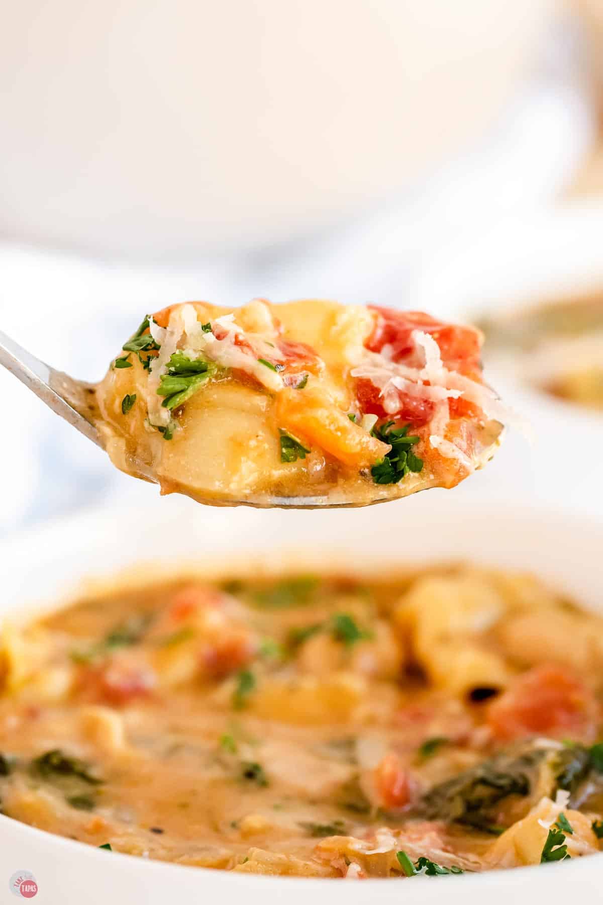 close up of spoon full of tortellini and broth