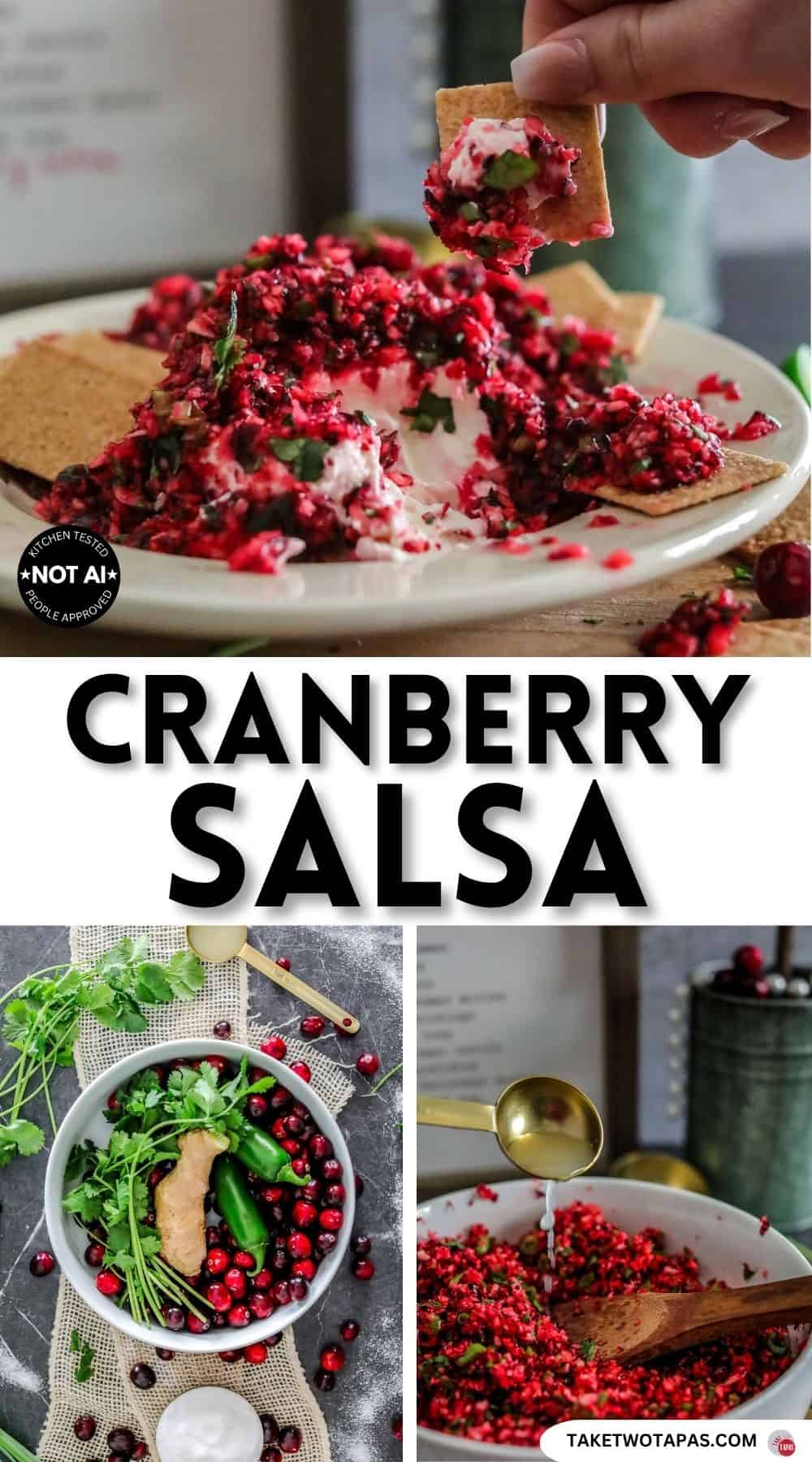 Pinterest pin image for a fresh cranberry salsa recipe