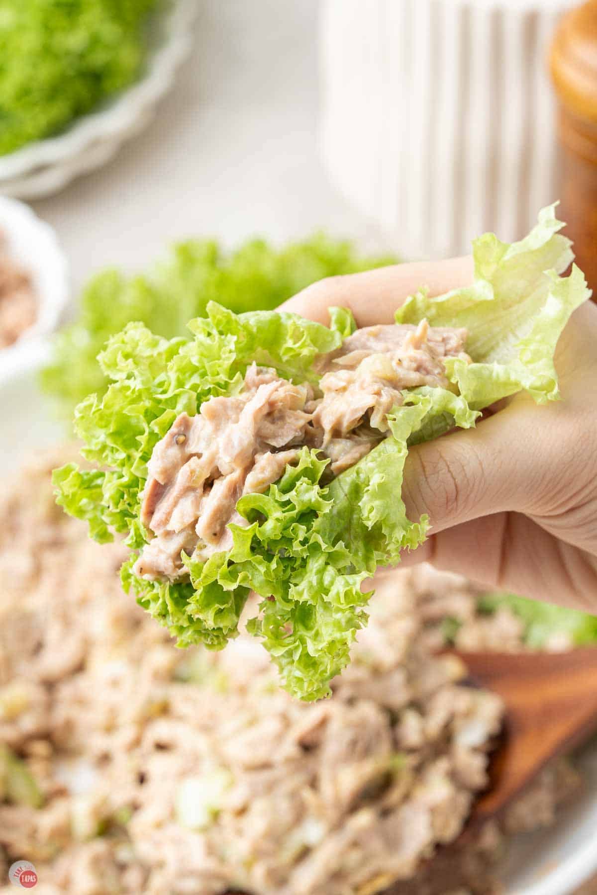 hand holding a lettuce leaf full of tuna salad