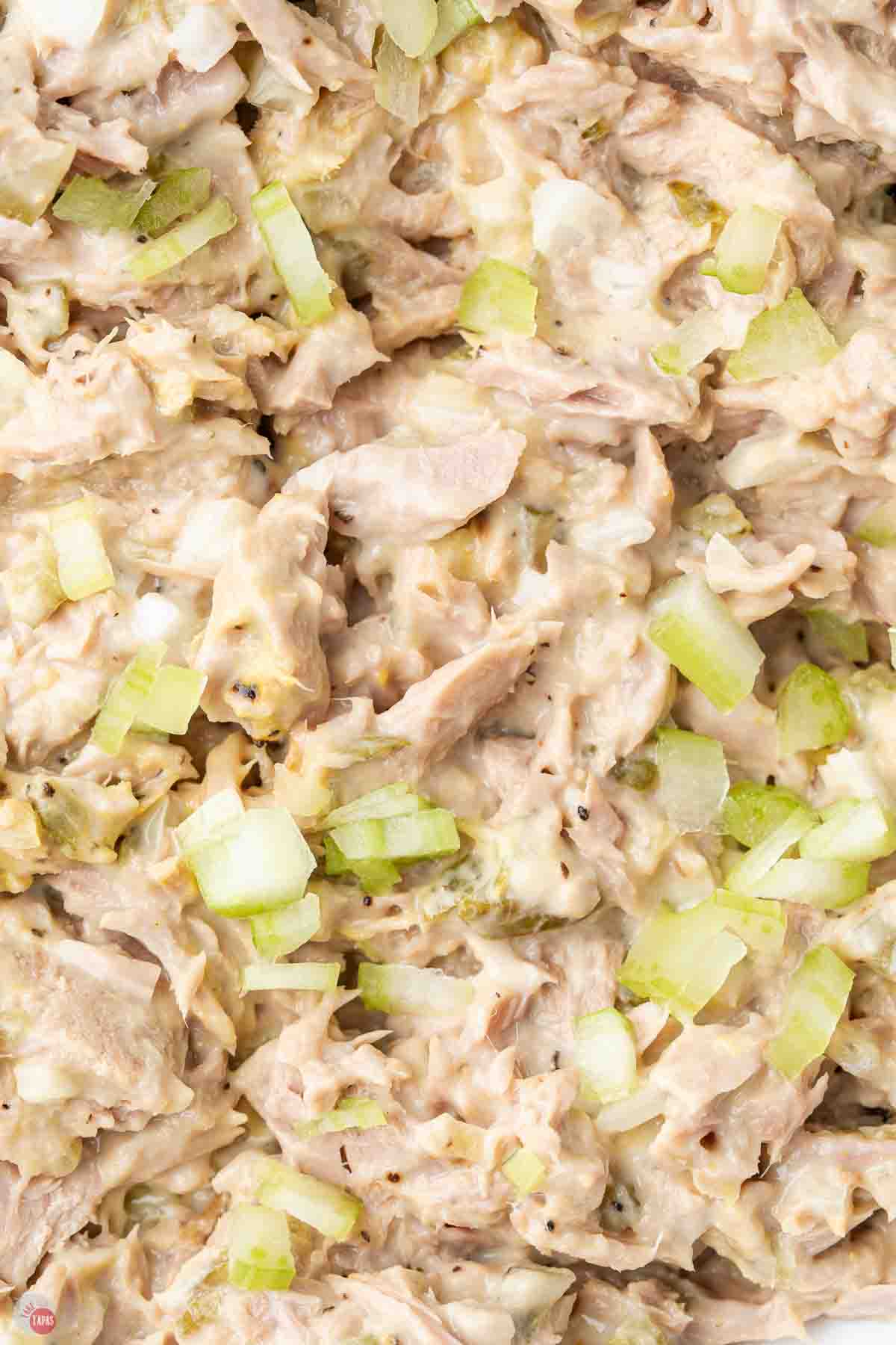 close up of classic tuna salad