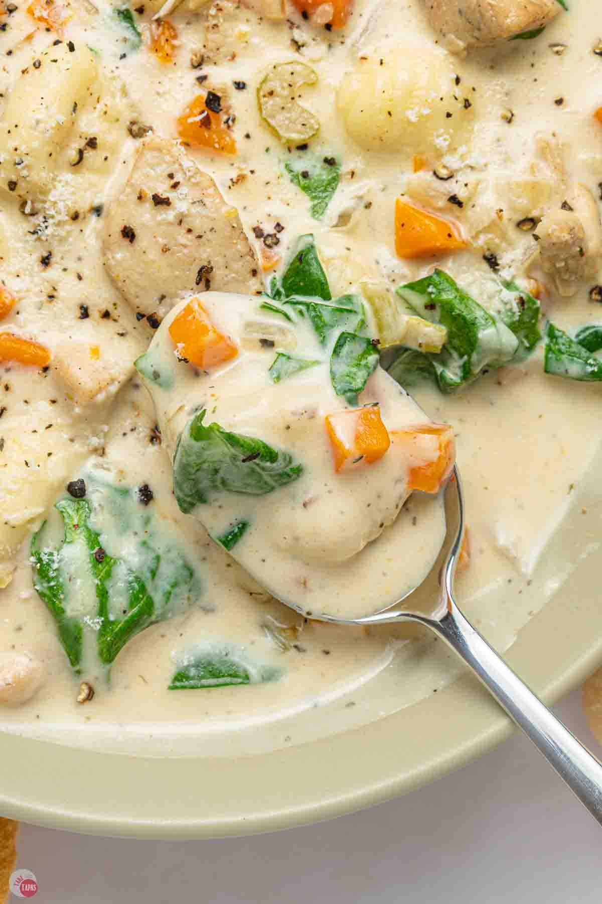 spoon with soup