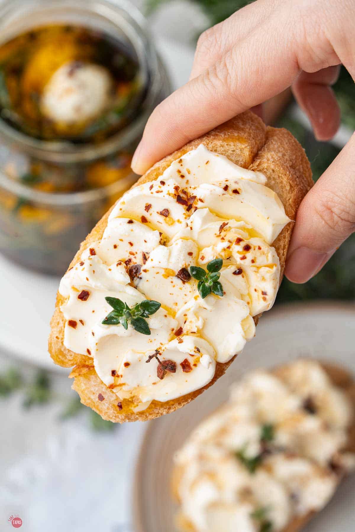hand holding crostini with mozzarella cheese smeared on it