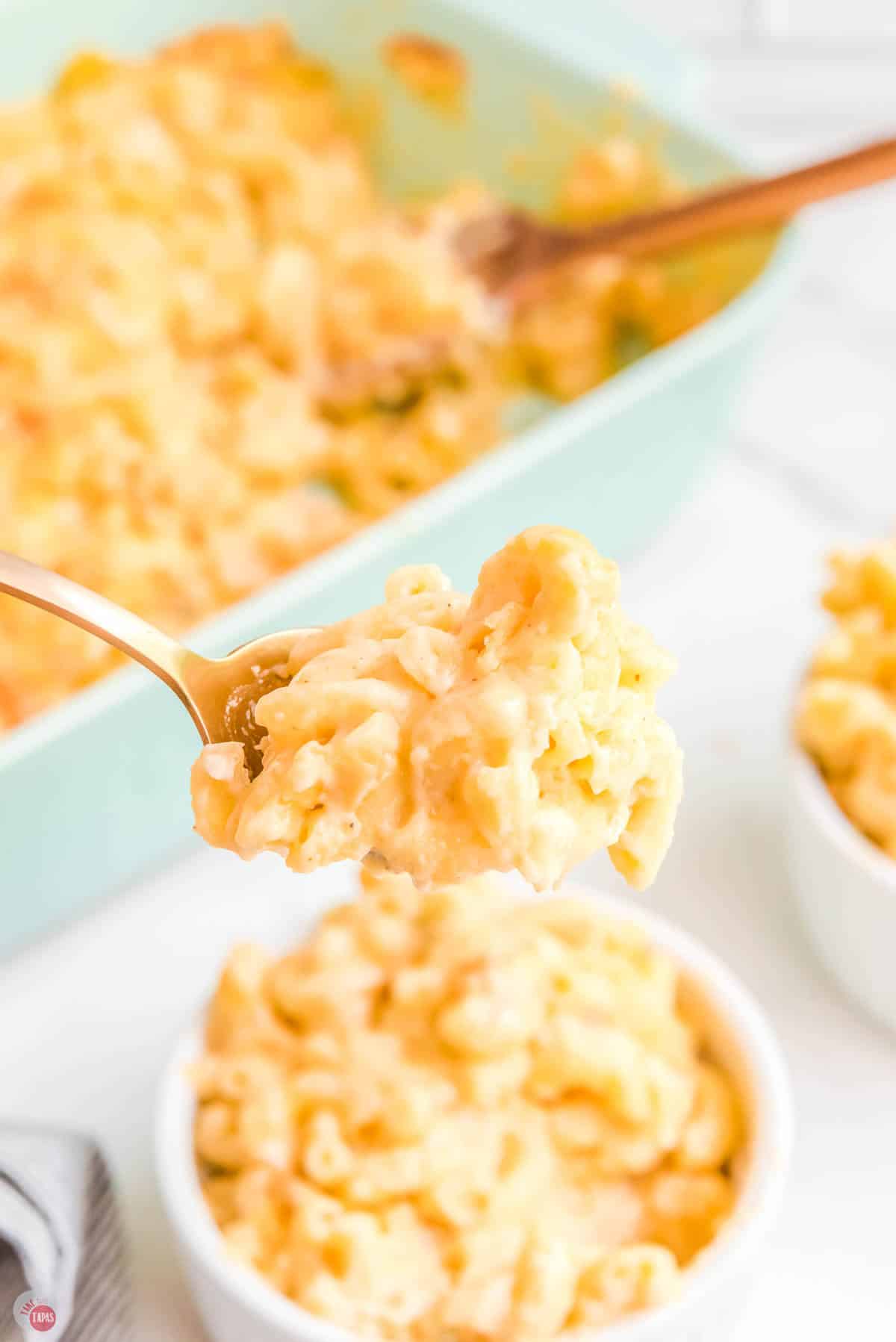 spoon with a bite of mac and cheese on it