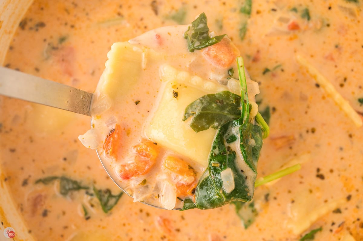 Close up of a ladle full of ravioli soup with cheese ravioli, wilted spinach and diced tomatoes
