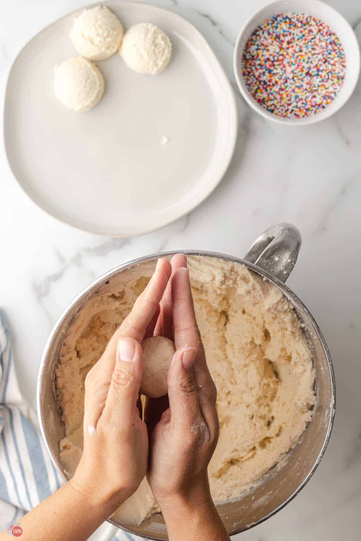 hand holding a flattened ball of cookie dough